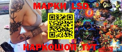 стафф Дубна