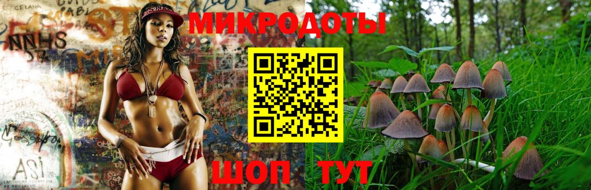 хочу   Вход с VPN  Нижний Тагил  Галлюциногенные грибы Magic Shrooms 